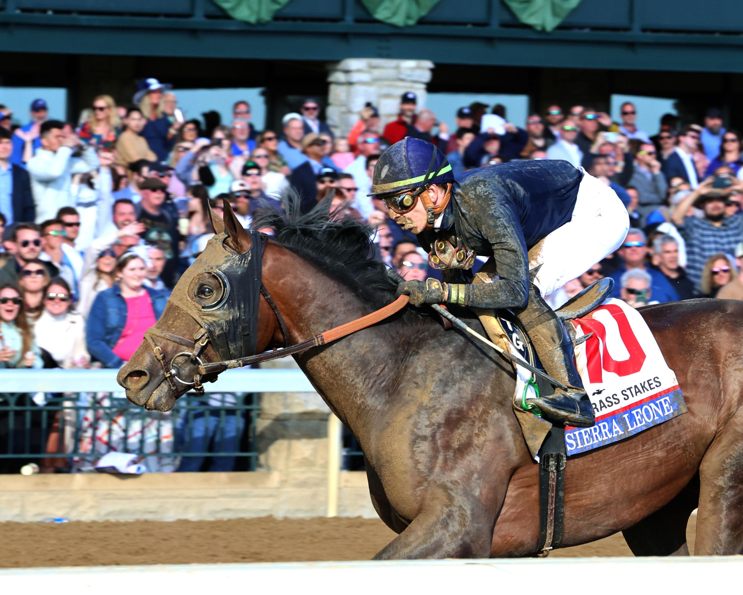 Dornoch, National Treasure Lead First Poll of 2024 Breeders' Cup